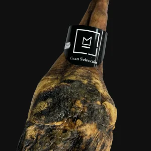 paleta-gran-seleccin-jos-sabiote